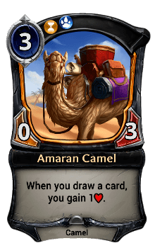 current Amaran Camel