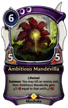 Ambitious Mandevilla