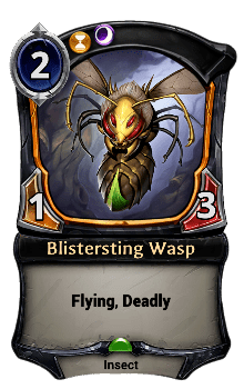 Blistersting Wasp