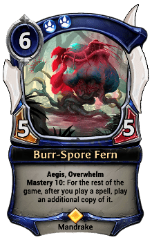 Burr-Spore Fern