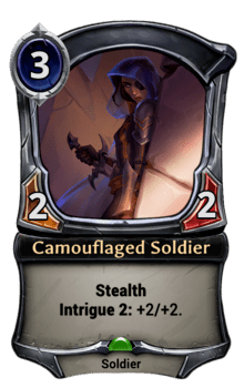 Camouflaged Soldier