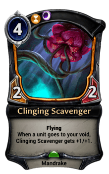 Clinging Scavenger