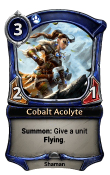 Cobalt Acolyte
