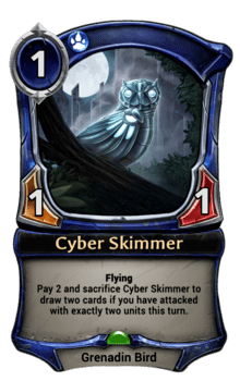 Cyber Skimmer