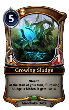 Growing Sludge