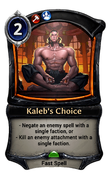 Kaleb's Choice