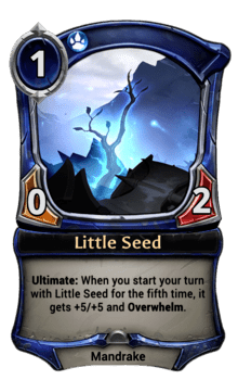 Little Seed