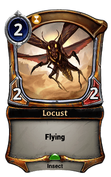 Locust