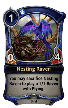Nesting Raven