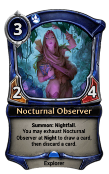 Nocturnal Observer