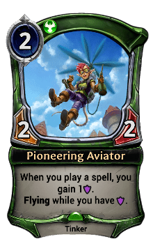 Pioneering Aviator