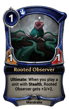 Rooted Observer