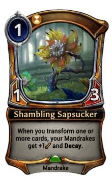 Shambling Sapsucker