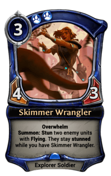 Skimmer Wrangler