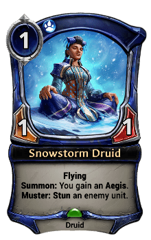 Snowstorm Druid