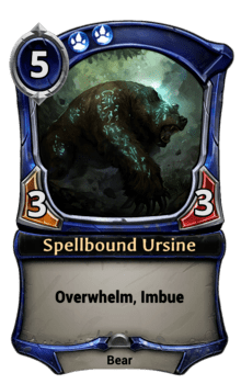 Spellbound Ursine