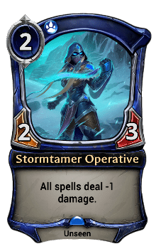Stormtamer Operative