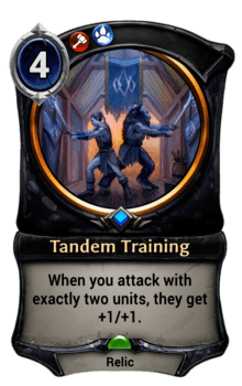 Tandem Training