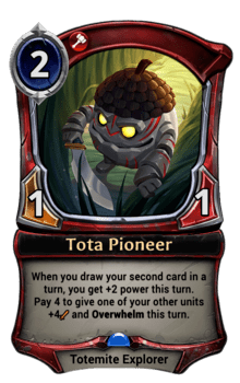 Tota Pioneer