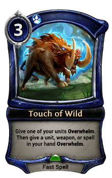 Touch of Wild