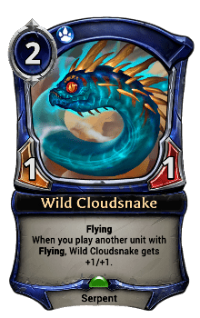 Wild Cloudsnake